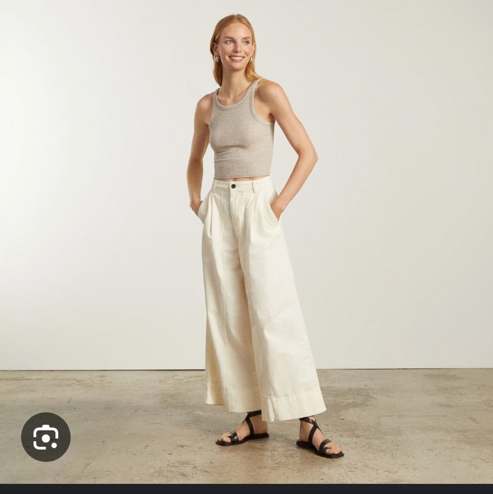 Everlane The Tourist Pant